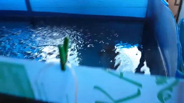 Передержка рака на зиму ) смотреть онлайн
