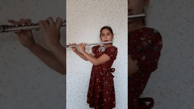 Вольфганг Амадей Моцарт- Турецкое рондо (Wolfgang Amadeus Mozart - Alla Turca)Sofia Akopova смотреть онлайн