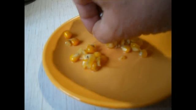 Кукуруза на рыбалку. Рецепт приготовления смотреть онлайн