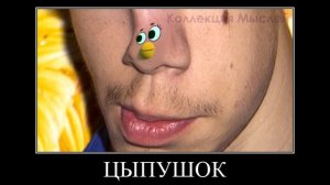 МиМиМишки + ШИЗА =