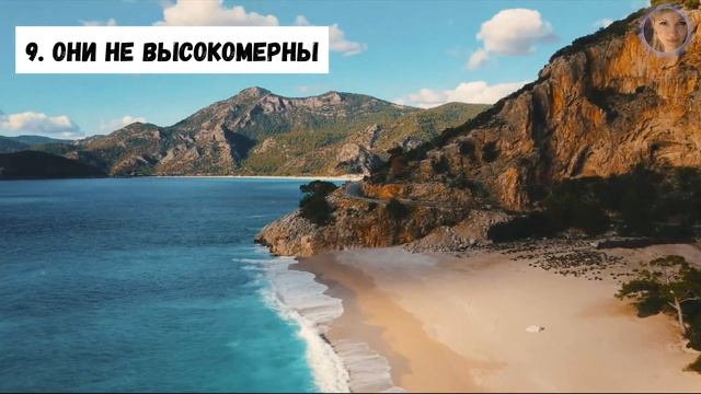 20 вещей которые не делают умные люди смотреть онлайн