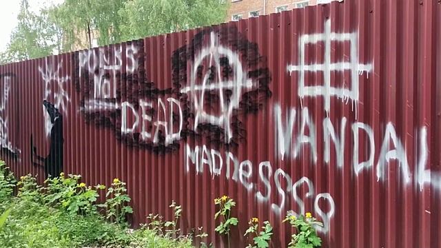 О состоянии хозяйственной постройки средней школы №4 Новомосковска и прилегающей территории. смотреть онлайн