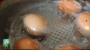 Вот ПОЧЕМУ вредно есть ЯЙЦА которые варились дольше 10 МИНУТ Яйца с зеленоватым