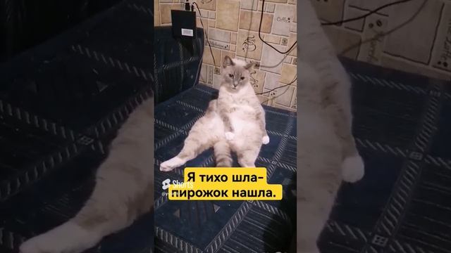Мэри тихо шла и с Устином пирожок нашла. #shorts смотреть онлайн