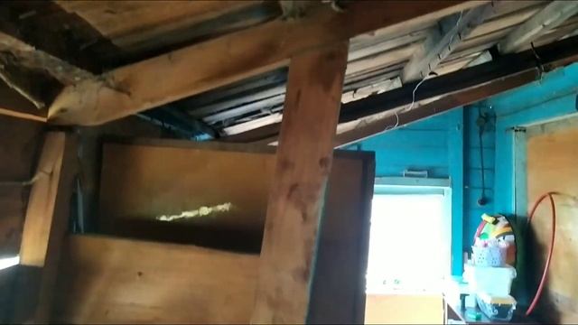 ДОМ В ДЕРЕВНЕ. ДЕНЬ 1. УБОРКА В СЕНЯХ И ПРИДОМОВОЙ ТЕРРИТОРИИ. смотреть онлайн