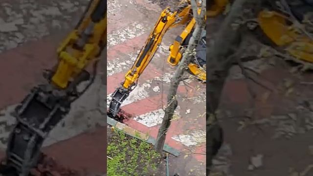 Москва, опять глобальная замена бордюрного камня!) смотреть онлайн