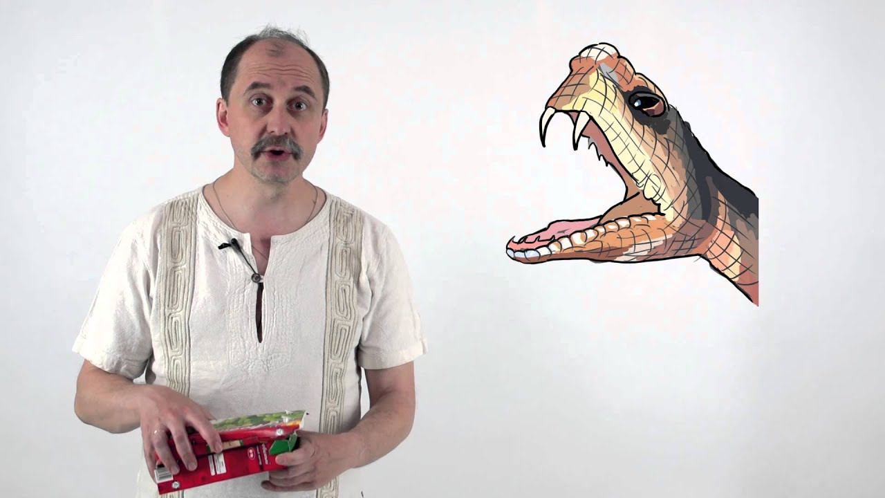 Мусорное биомоделирование. Позвоночные. Часть 2 - Змеи. смотреть онлайн