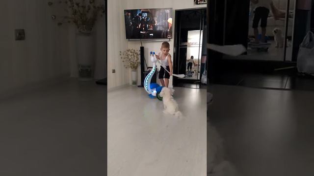 На гироскутере дома смотреть онлайн