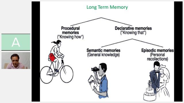 Arun Pratap Sikarwar for Brain Awareness Week 2020 смотреть онлайн