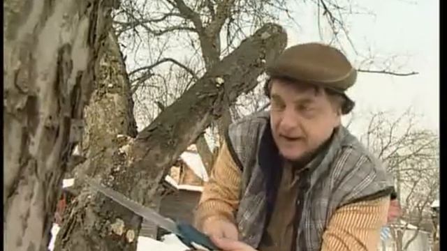 Пеньки в саду. Андрей Туманов о плодовых. смотреть онлайн