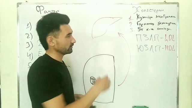 Ўткир коронар синдром. Миокард инфаркти. 1 қисм. Этиология ва патофизиология смотреть онлайн