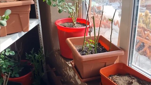 Каждый день в нашем заведение, начинается одинаково смотреть онлайн