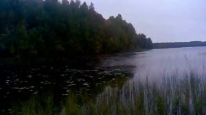 турчасово