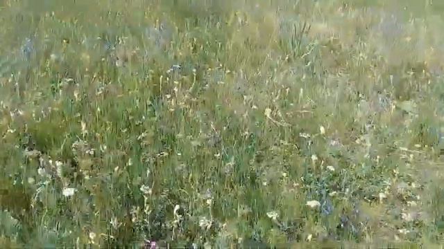 Озеро Иткуль 2 08 19 смотреть онлайн