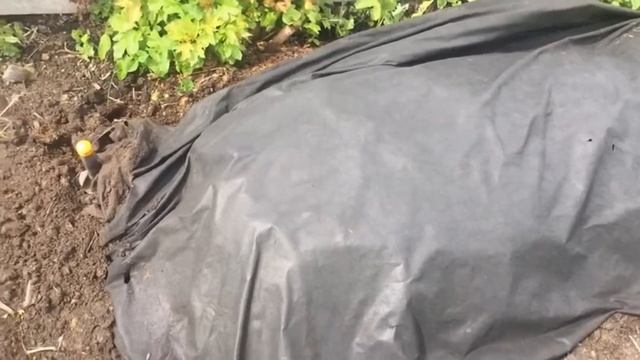 Как приготовить компост. Как использовать куриный помёт. смотреть онлайн