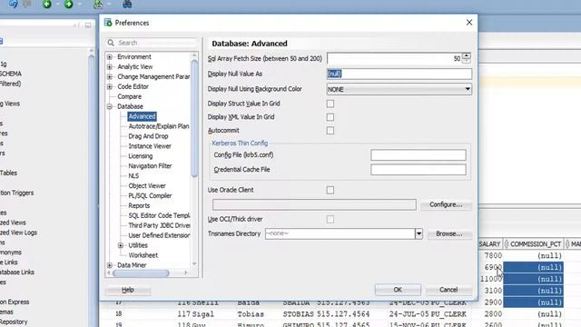 How to display NULL Value Different ways in SQL Developer | Oracle SQL Developer Tips and Tricks смотреть онлайн