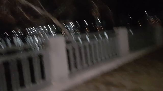 ПРЕКРАСНАЯ ВЕЧЕРНЯЯ ПРОГУЛКА С ЛУНОЙ И ЮЛЕЙ смотреть онлайн