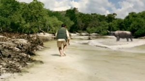 Арсинойтерий ( Прогулки с морскими чудовищами )