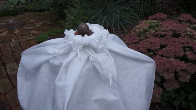 Укрытия для роз клетка-каркас "Жемчужина" и чехол к нему. (обзор) смотреть онлайн