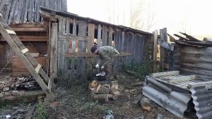 Старина дом. 11. Старинные ворота и лучший отдых.