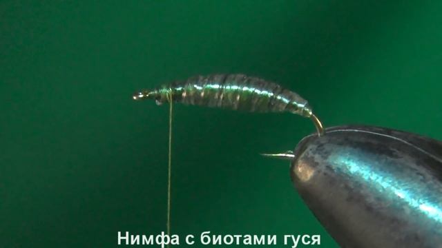 Нимфа с биотами гуся смотреть онлайн