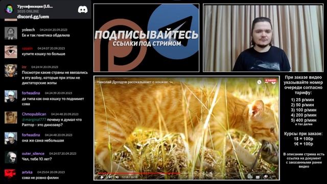 Маргинал и его познания в орнитологии смотреть онлайн