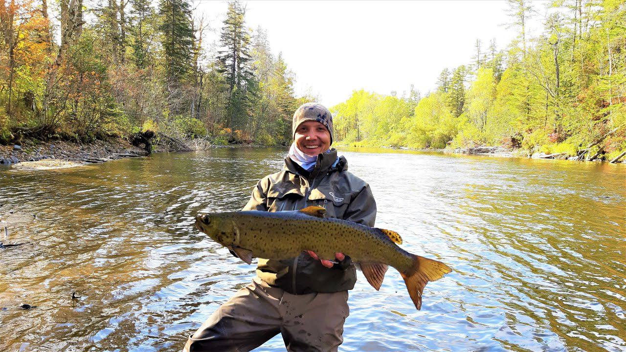5 РЫБИН за 5 минут НЕ СХОДЯ С МЕСТА. Осенний жор. Рыбалка смотреть онлайн