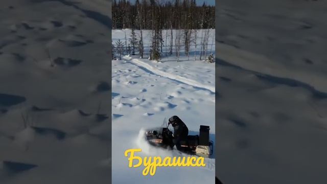 Бурашка Жжёт... Снегоход Буран. #снегоход #буран#утюг#бурашка смотреть онлайн