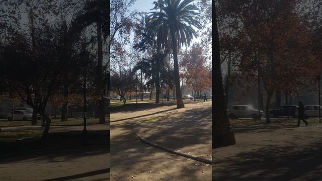 Город Сантьяго. Парк. смотреть онлайн