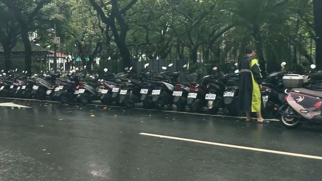 ?? 엄마 아빠가 이렇게 여행에 진심일지 몰랐다 [대만 여행] смотреть онлайн