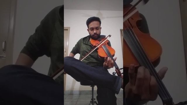Counting Stars( Violin Cover) #onerepublic #countingstars