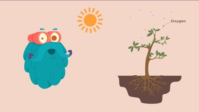 Photosynthesis | The Dr. Binocs Show | Learn Videos For Kids смотреть онлайн