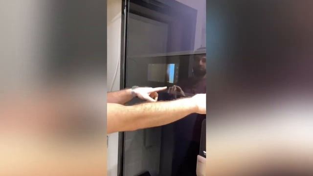 Темные двери в интерьере: эстетика, благородство, практичность смотреть онлайн