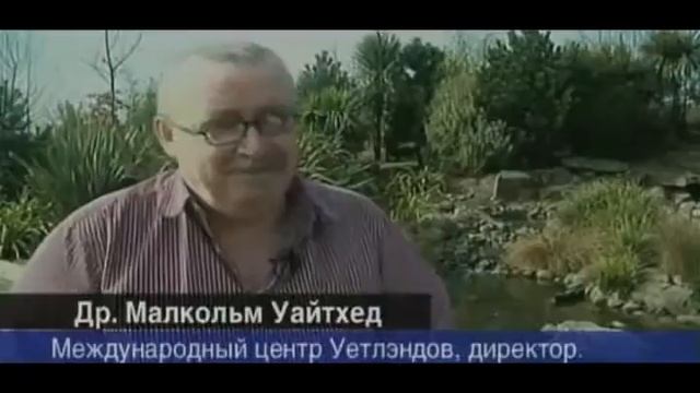 Глубинные тайны чёрного моря - отдых в Анапе смотреть онлайн