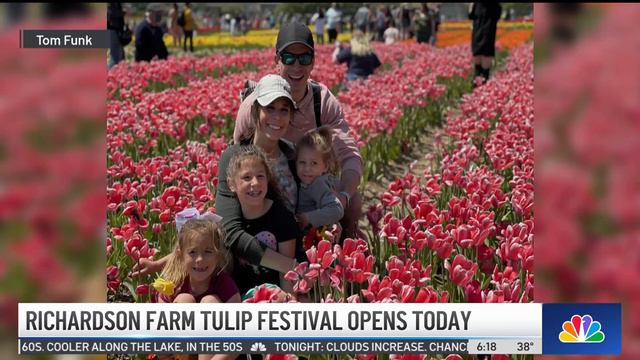 Tulip Festival in Spring Grove, Illinois Now Open смотреть онлайн