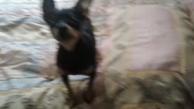 ЭТО БУСИНКА!! смотреть онлайн