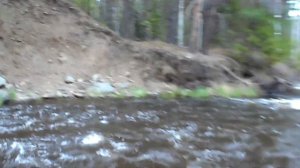 Мою Золото!Золото лежит у нас под ногами! Я нашел его в ручье как старатель ! Часть Первая ;)