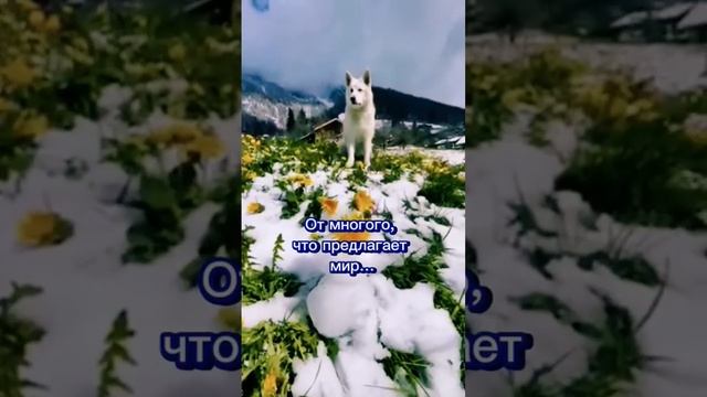 Мне стало нравиться молчать смотреть онлайн