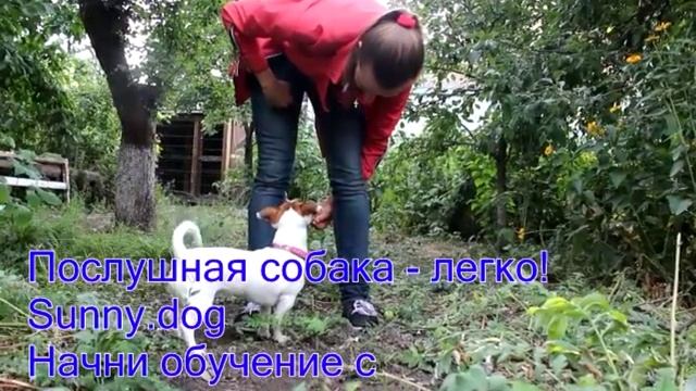 Кинологический портал г.Екатеринбурга