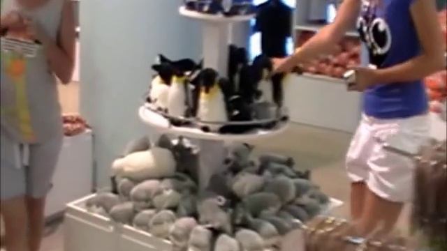 Турция шоппинг . Turkey Antalya . Gift shop . Аквариум в Анталии. Магазин сувениров . смотреть онлайн