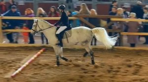 Красивые Лошади. Верховая Езда. Прыжки Через Препятствия В Замедленной Съемке