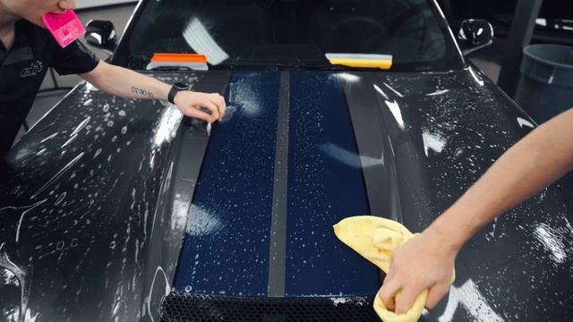 Protecting a Shelby GT350 with XPEL Paint Protection Film смотреть онлайн