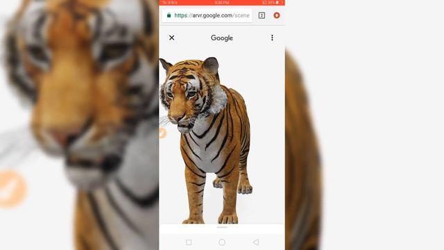 Google 3D Animals Camera Not Working Problem Fix | View In Your Space 3D Animals VFX Tutorial смотреть онлайн