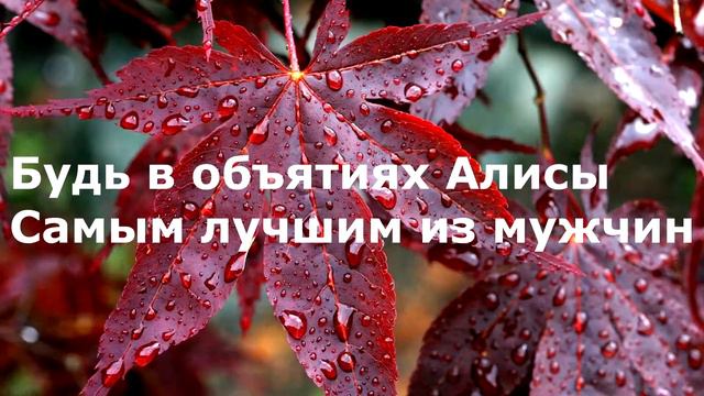 С Днём Рождения, СЫНУЛЯ!!! смотреть онлайн