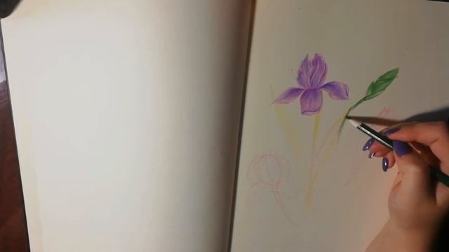 Первое видео. Speedpaint на ирисы смотреть онлайн