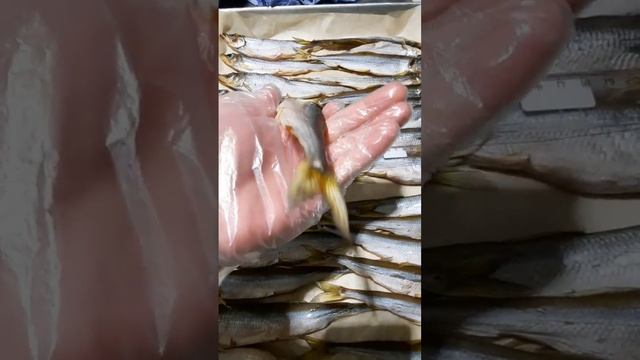 КОРЮШКА ИКРЯННАЯ ВЯЛЕНАЯ САХАЛИНСКАЯ! ПОРОНАЙСК! УСУШКА 65%. ВЯЛИМ НА ЗАКАЗ В НОВОСИБИРСКЕ ??? смотреть онлайн