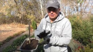 Вот что мы подсыпаем под клубнику осенью, чтобы собирать небывалый урожай!