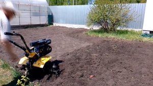 В первый раз на мотоблоке обрабатываем, культивируем огород.