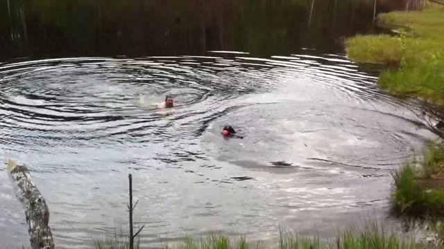 2012.06.02-03 Светлые Озера смотреть онлайн