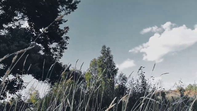 VID_20220814_173541 Холм: сосны: полдень 1977 (Г. Айги)...Павел Васильев Лахтинский смотреть онлайн